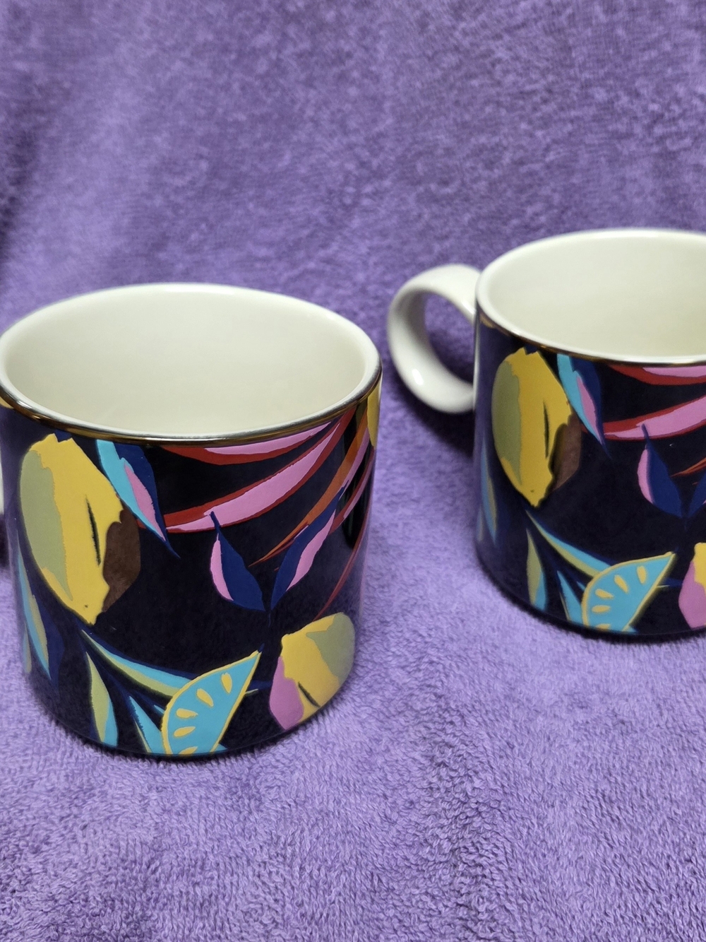 Tabitha Brown Stoneware Black Floral Coffee Mugs Multicolor 9 Oz. MW/DW Safe
